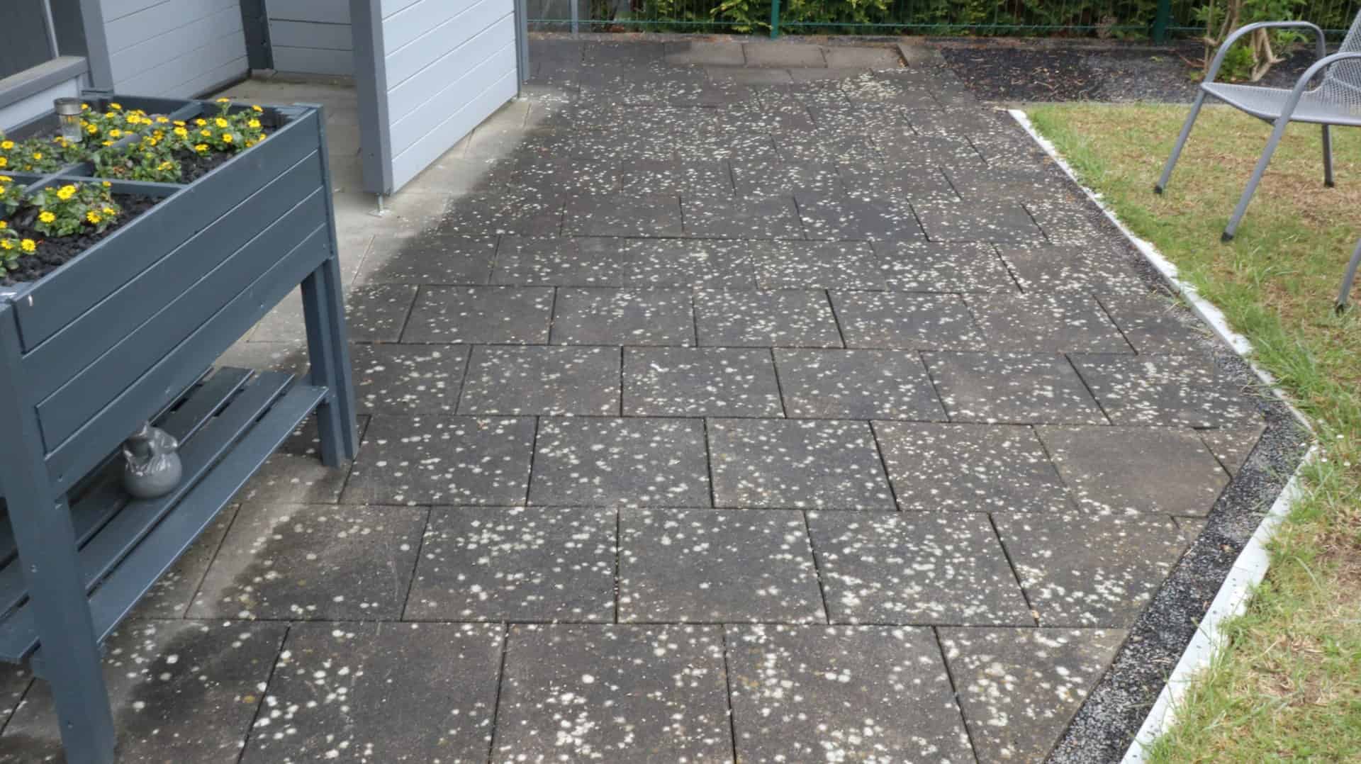 Pflasterreinigung und Imprägnierung in Bonn