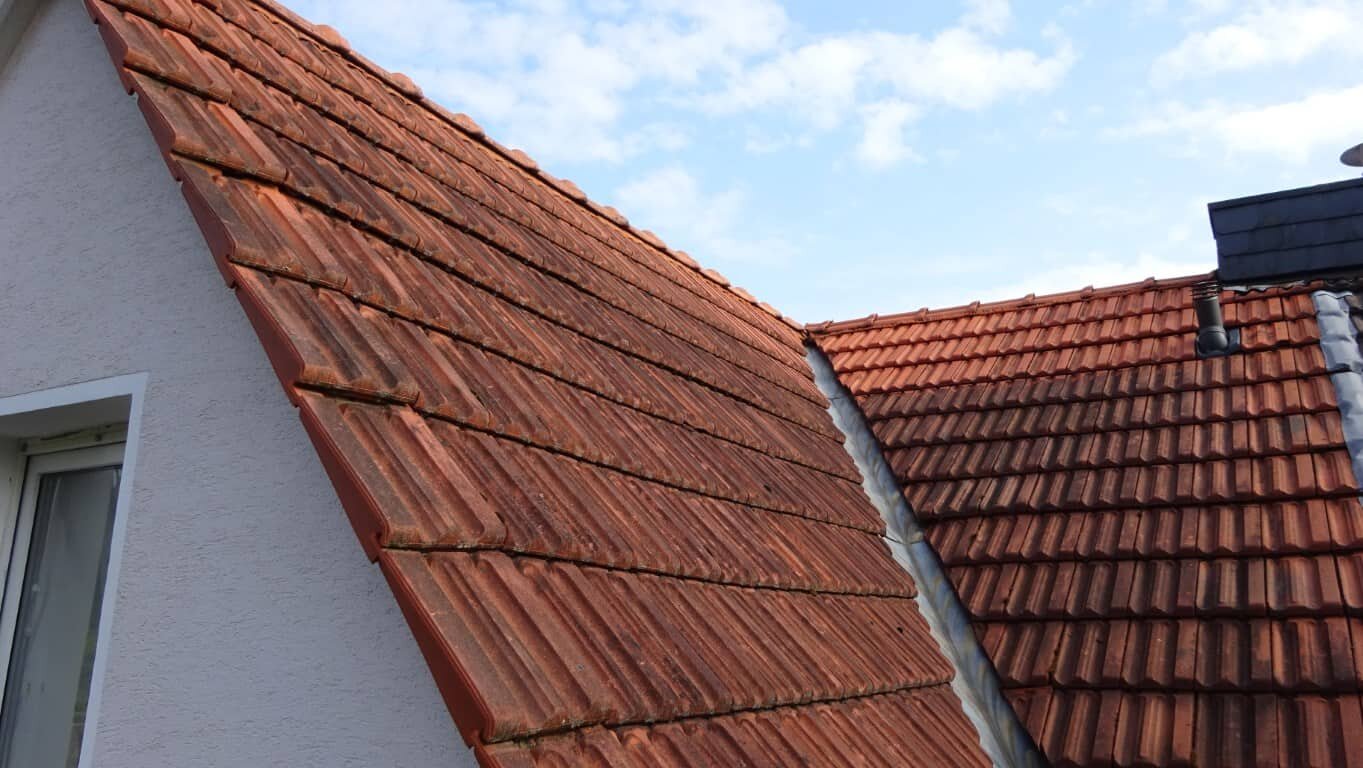 Vorher — Dachreinigung